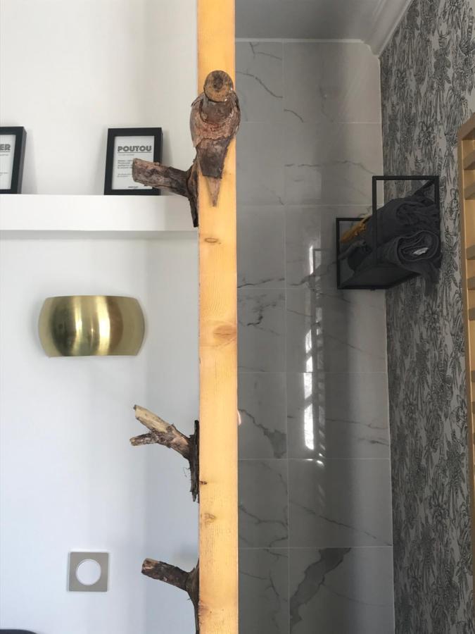 La Loge 45 Au Coeur Du Centre Historique De Rodez Lägenhet Exteriör bild